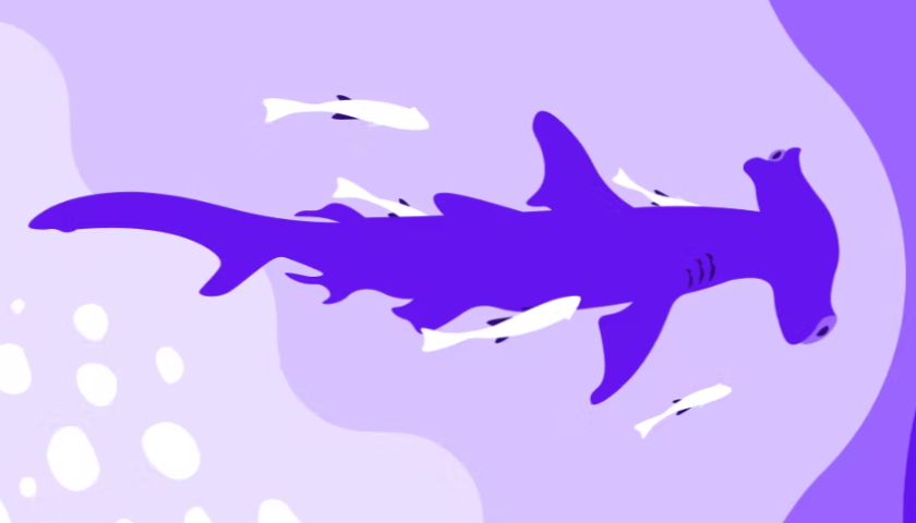 DigitaOcean