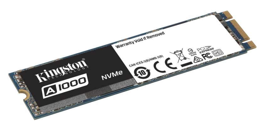 Kingston A1000