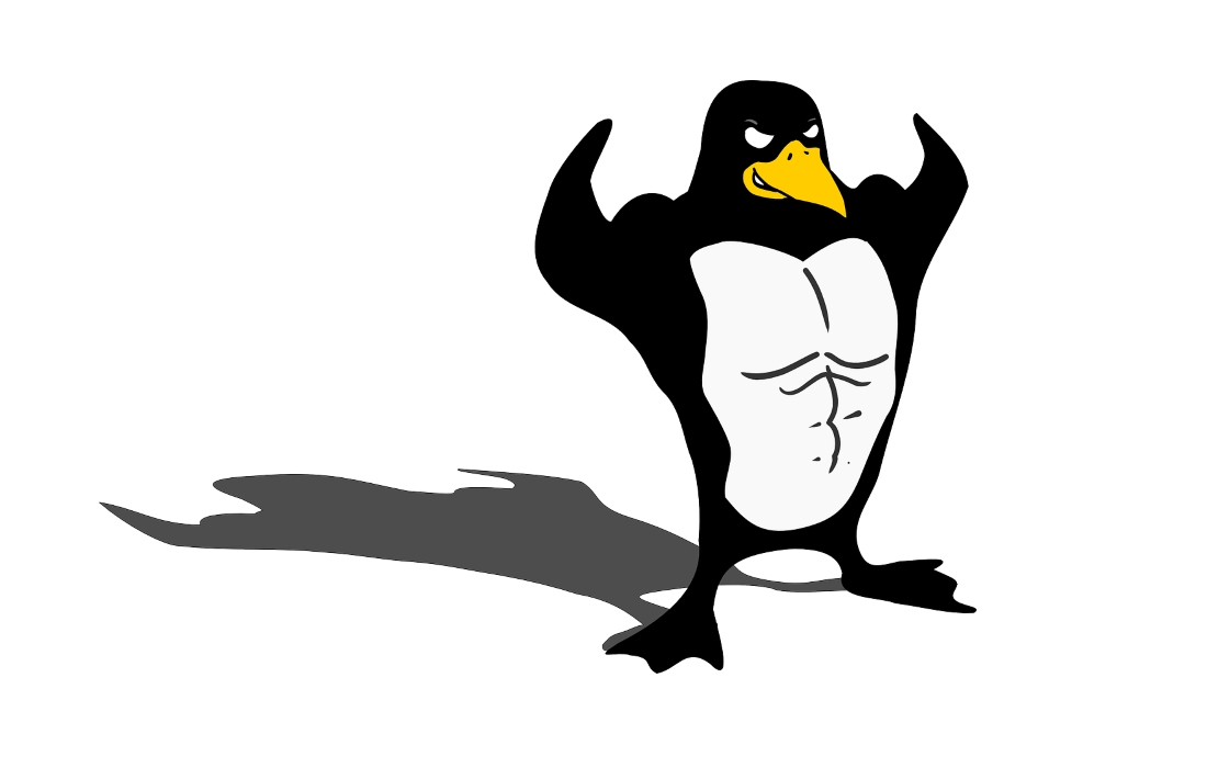 Linux platform