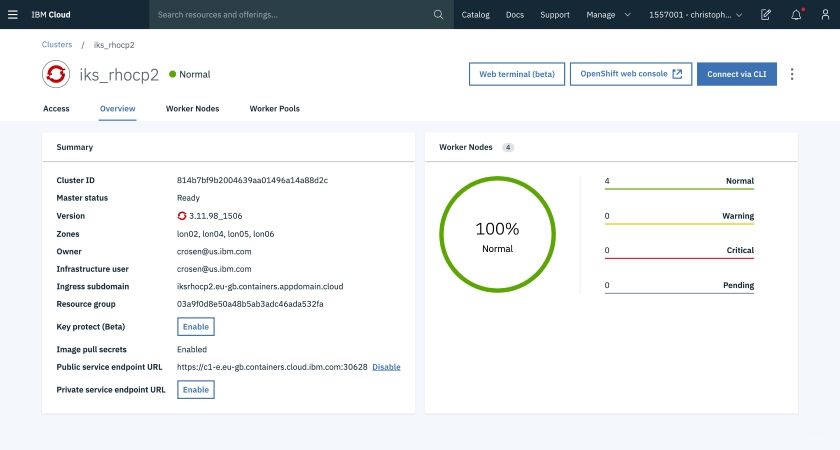 Red Hat OpenShift Cluster
